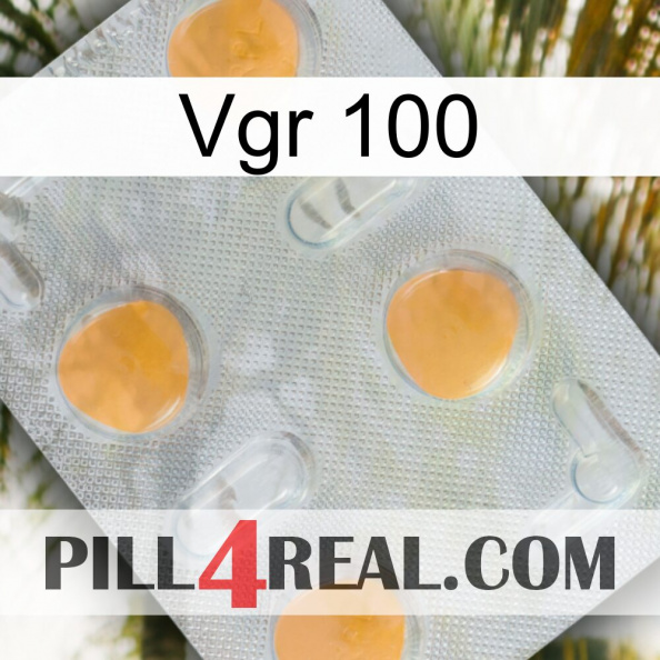 Vgr 100 24.jpg